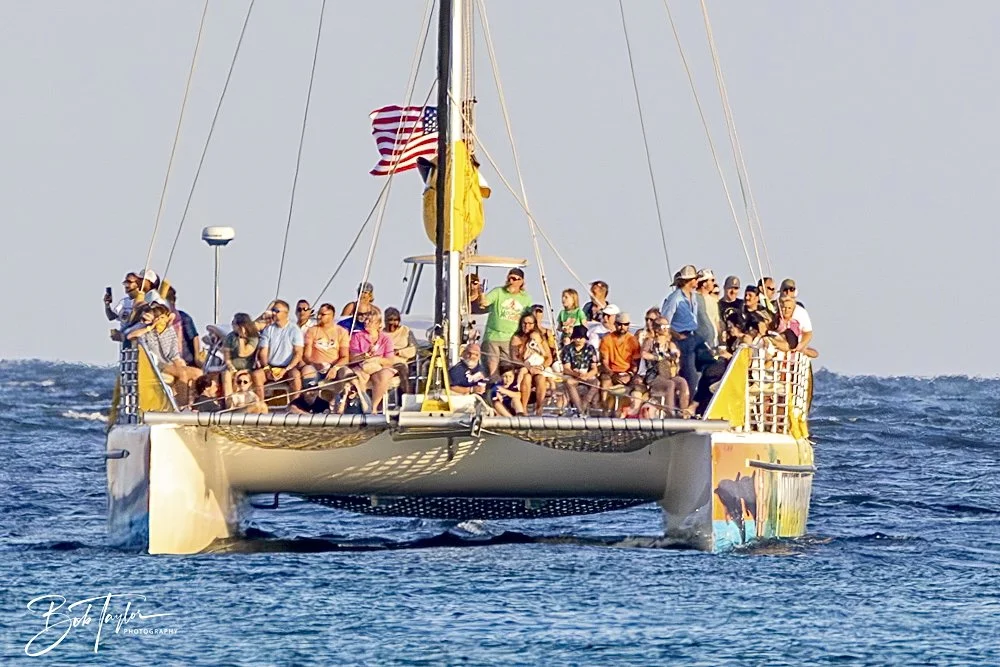 20240613-SASP Jun 24 -34.jpeg