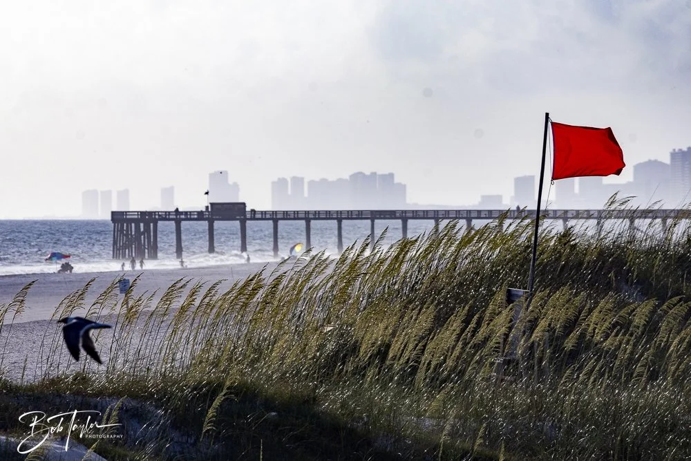 20240628-SASP People -20 (1).jpeg