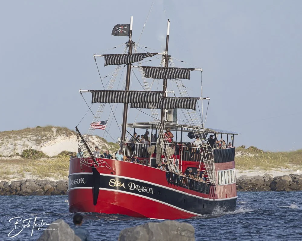 20240628-SASP People -21 (1).jpeg