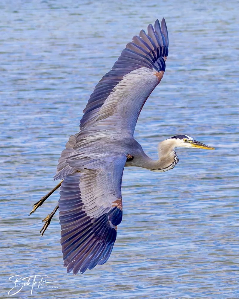 20240613-SASP Jun 24 -8.jpeg