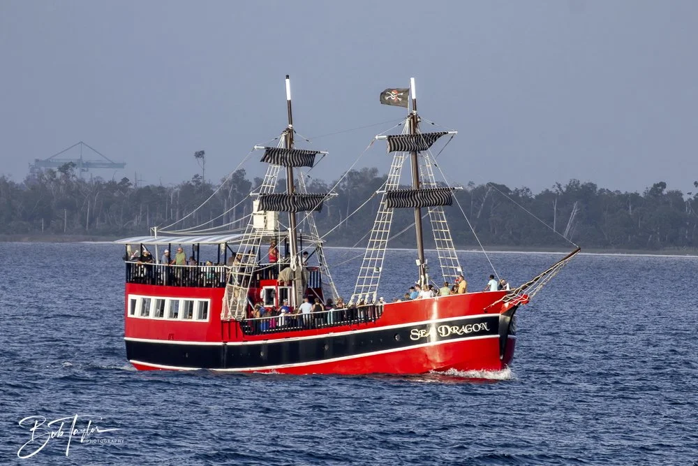 20240628-SASP People -18 (1).jpeg