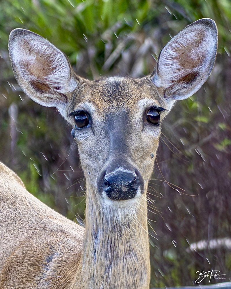 20240628-SASP People -5.jpeg