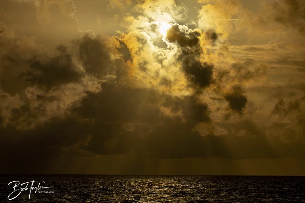 20240628-SASP People -29 (1).jpeg