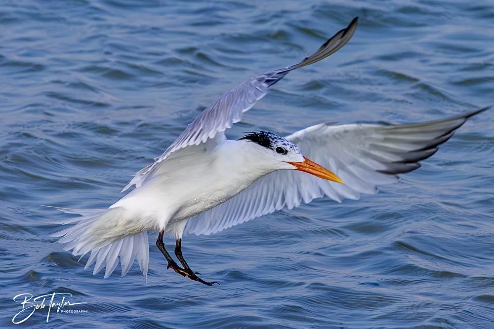 20240613-SASP Jun 24 -5.jpeg