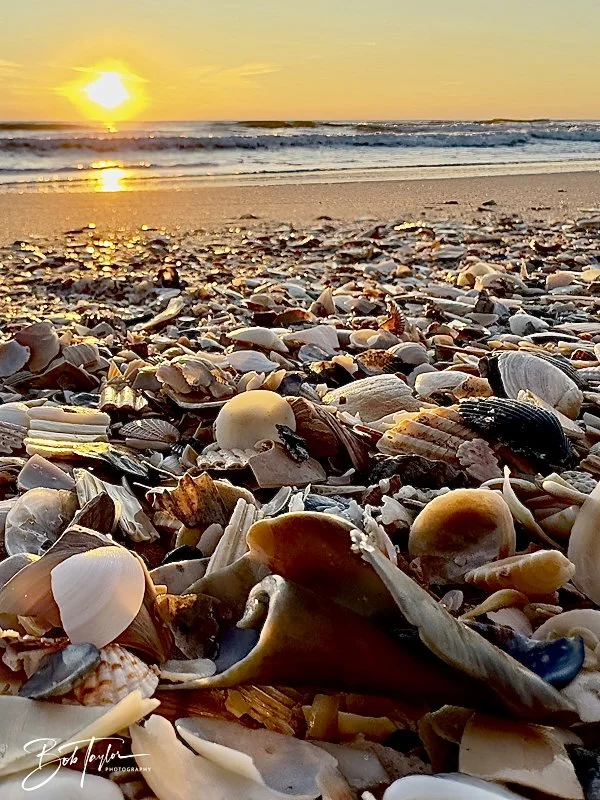 2-Library - 3 of 4-topaz-4.jpeg