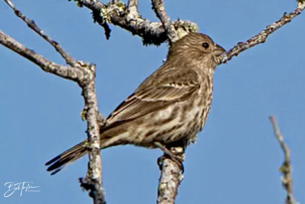 20231018-SASP 2023 -55.jpg