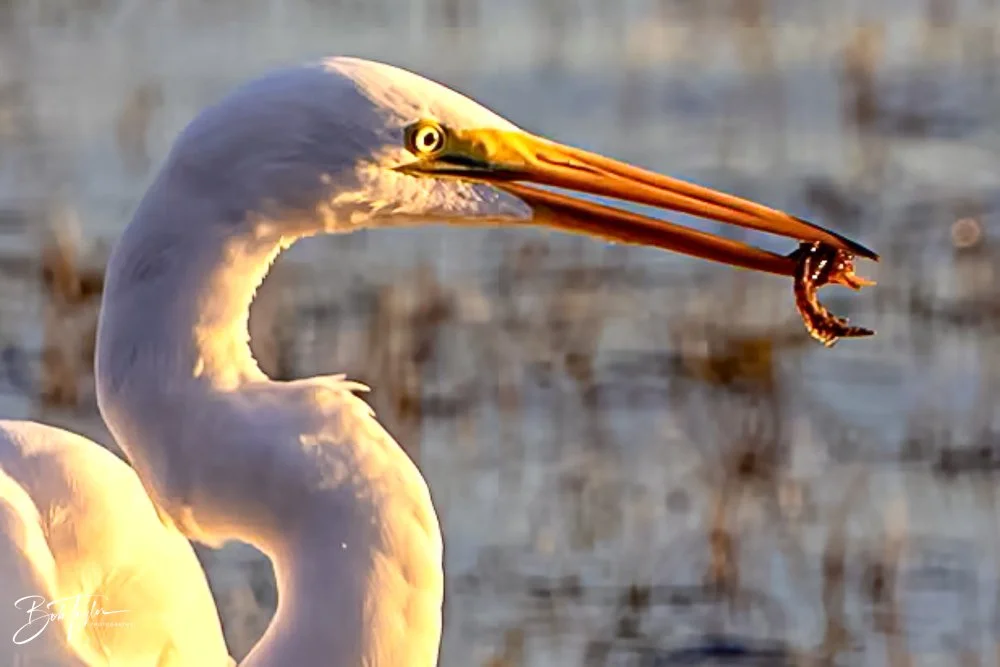 20231017-SASP 2023 -6.jpg