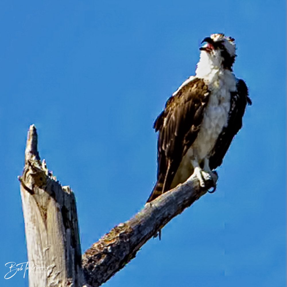 20231017-SASP 2023 -12.jpg