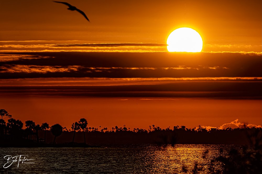 20231019-SASP 2023 -96.jpg