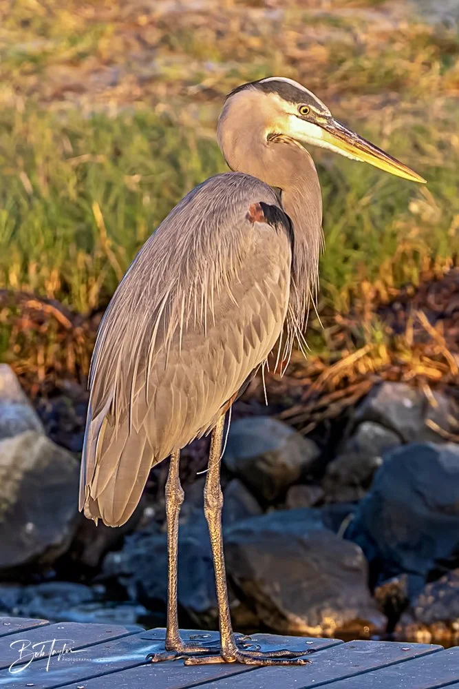 20231020-SASP 2023 -123.jpg