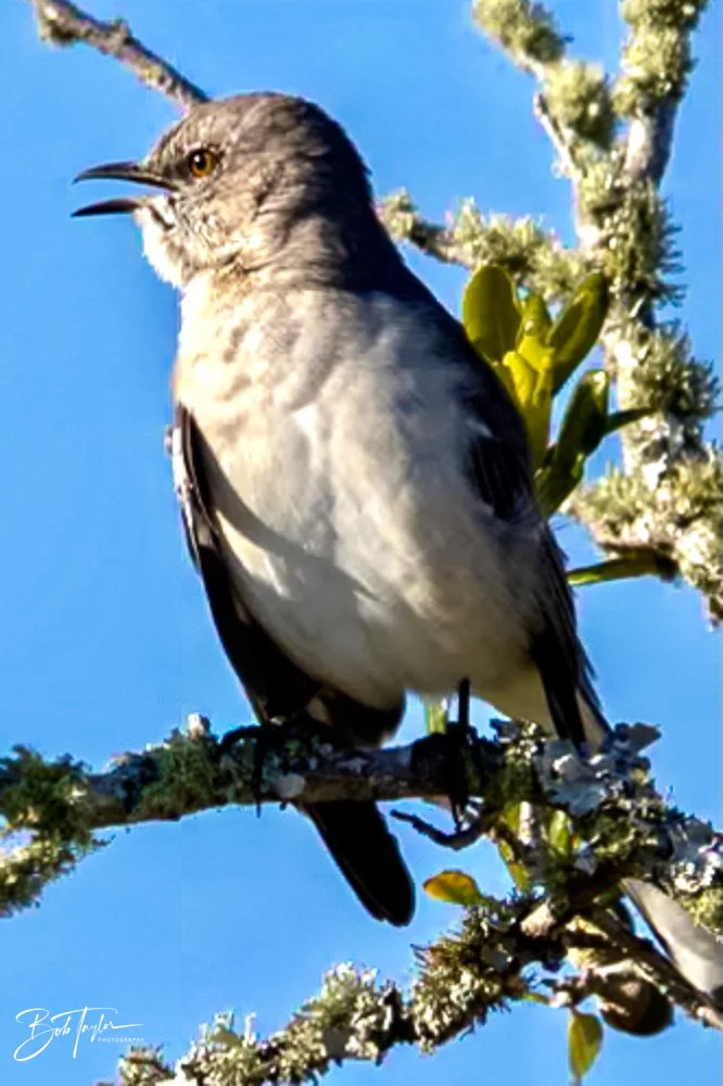 20231018-SASP 2023 -56.jpg