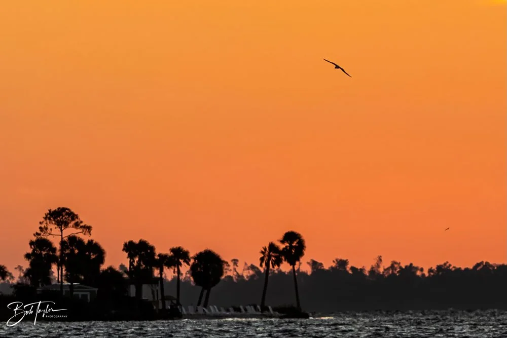 20231024-SASP 2023 -209.jpg