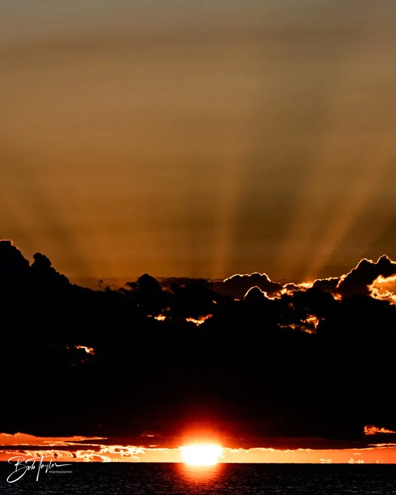 20231019-SASP 2023 -111.jpg