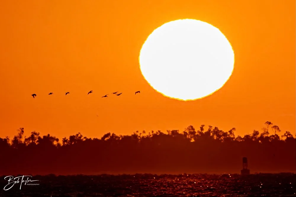 20231024-SASP 2023 -216.jpg