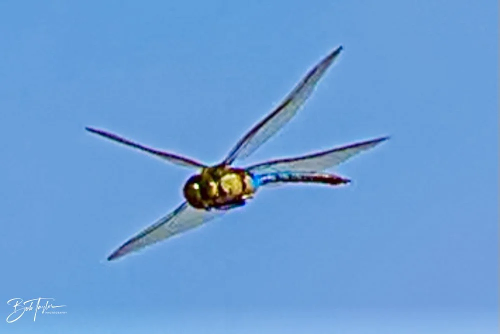 20231022-SASP 2023 -190.jpg