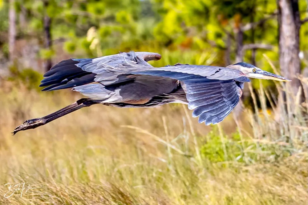 20231017-SASP 2023 -14.jpg