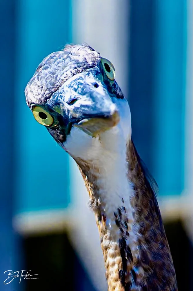 20231018-SASP 2023 -31.jpg