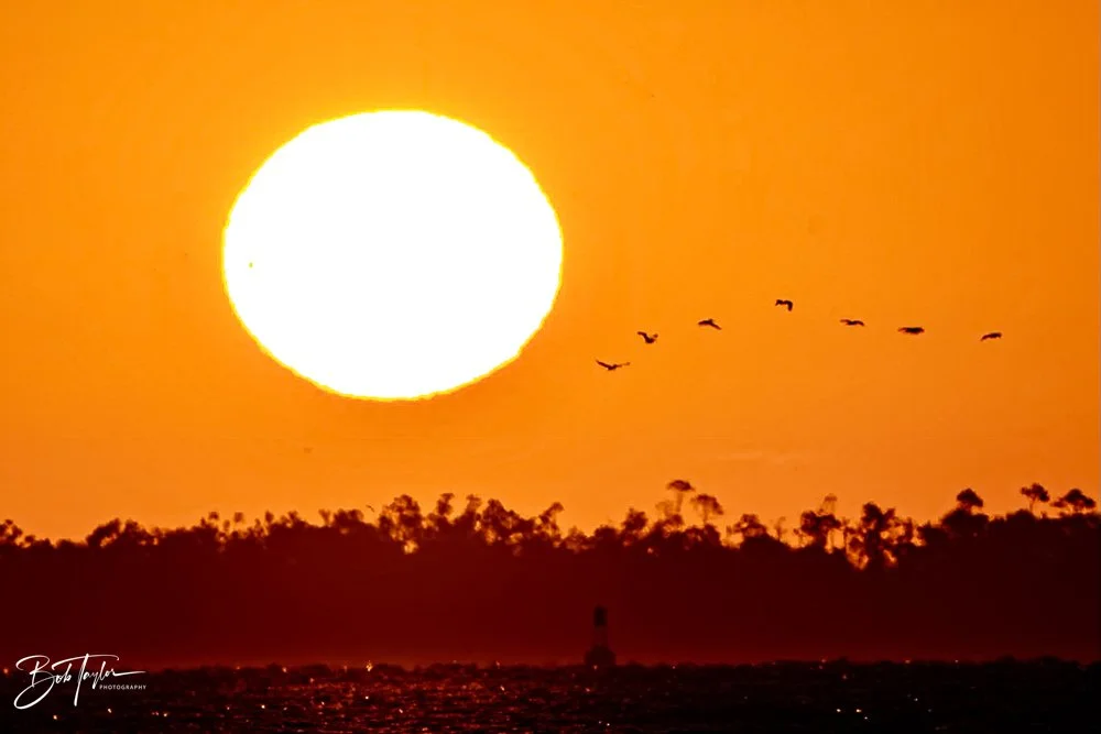 20231024-SASP 2023 -217.jpg