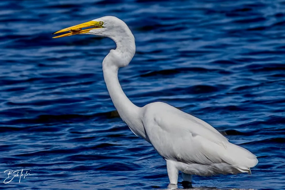 20231020-SASP 2023 -143.jpg