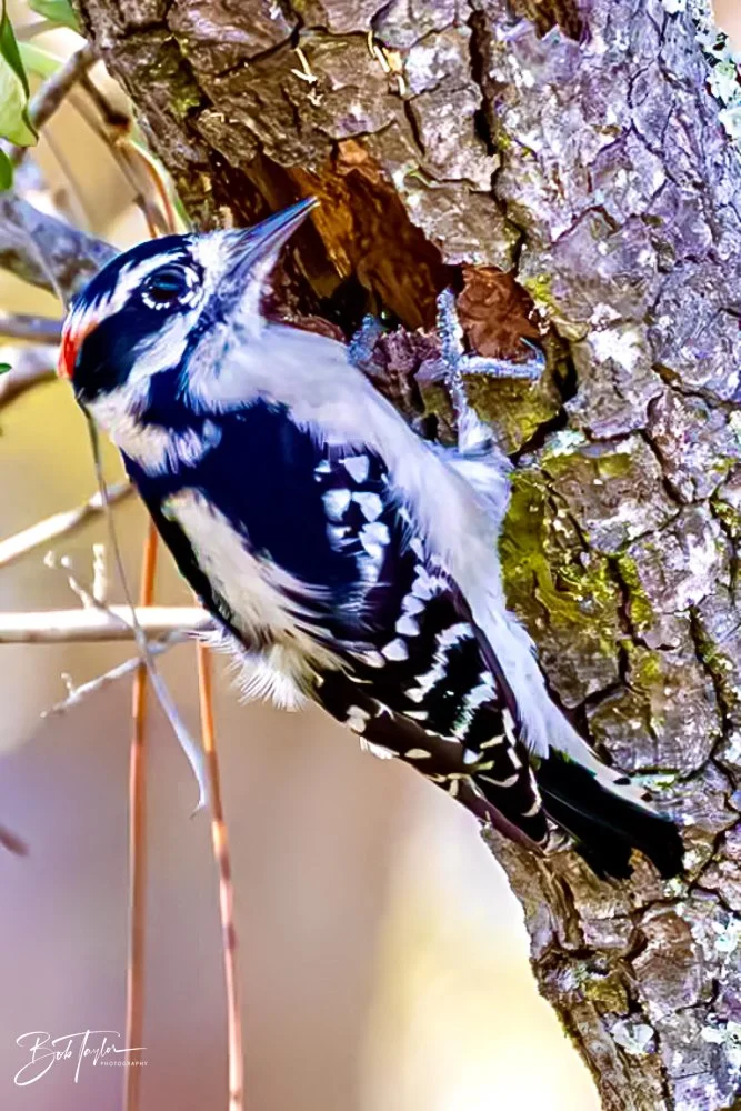 20231020-SASP 2023 -126.jpg