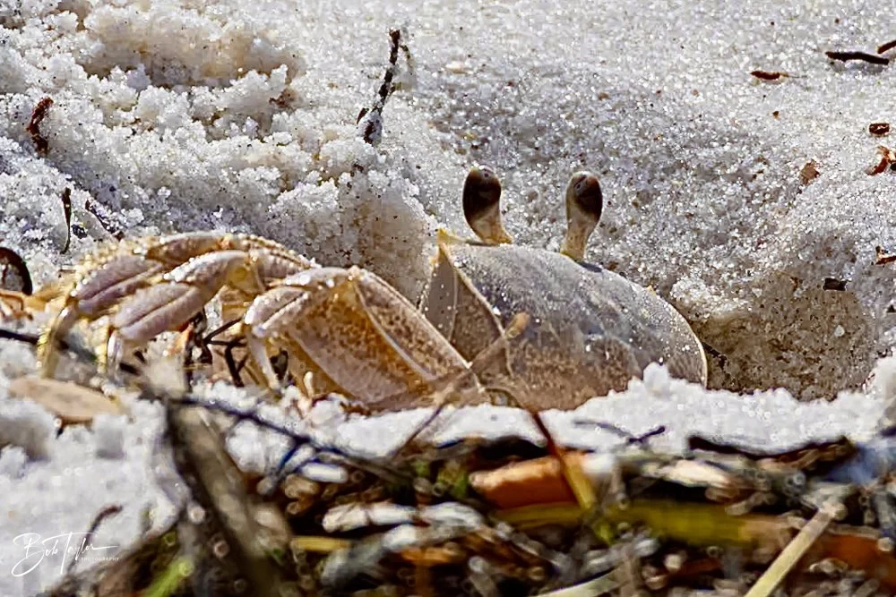 20231023-SASP 2023 -204.jpg