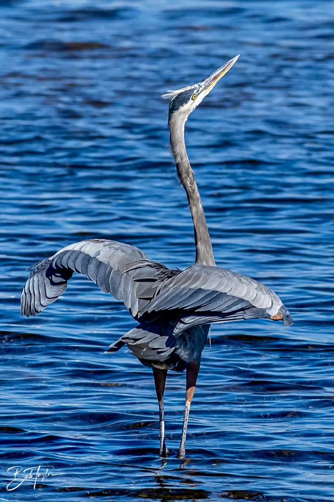 20231017-SASP 2023 -15.jpg