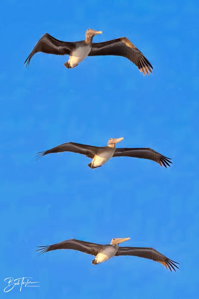 20231019-SASP 2023 -109.jpg