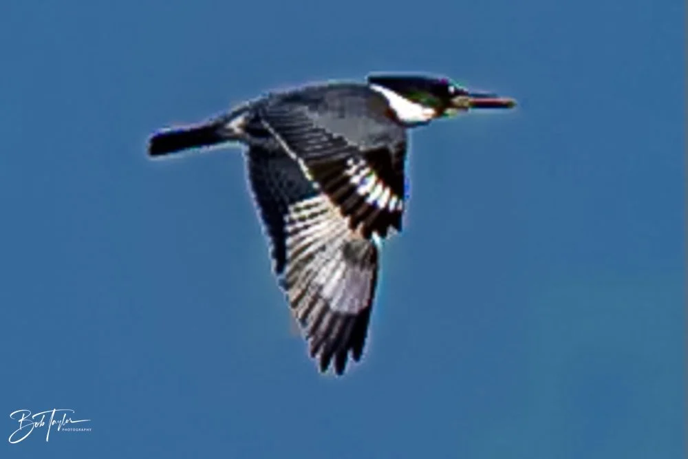 20231018-SASP 2023 -38.jpg