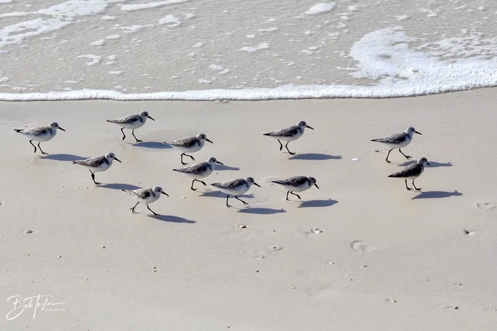 20231022-SASP 2023 -180.jpg