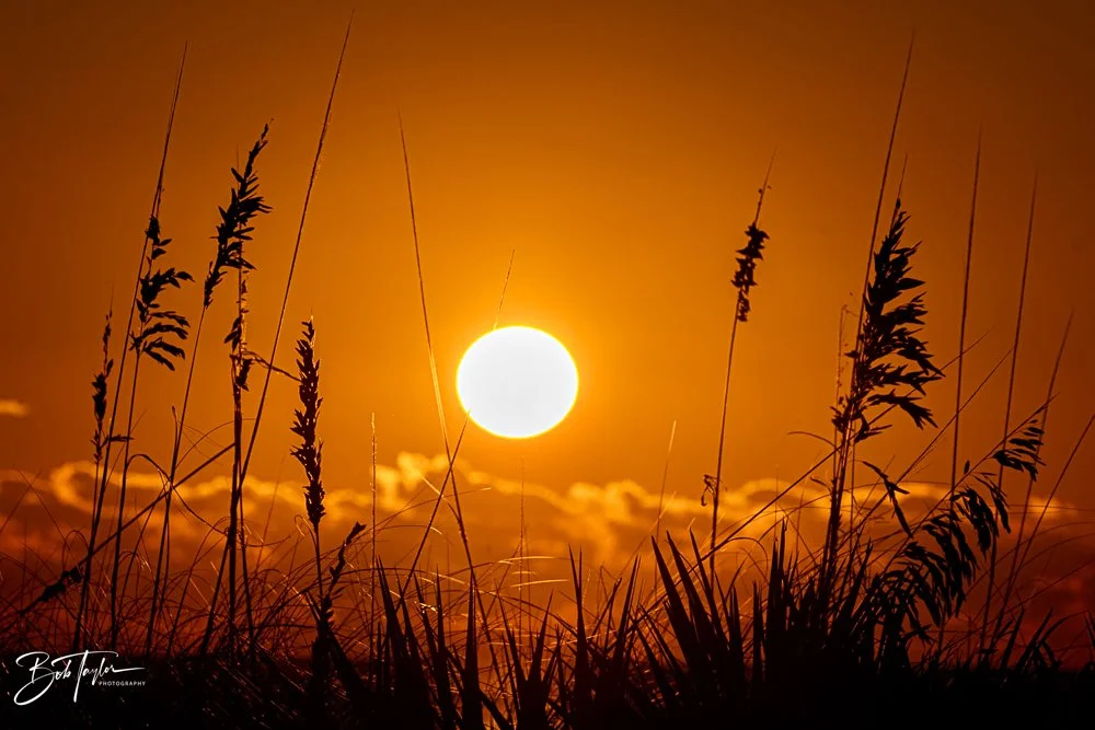 20231018-SASP 2023 -80.jpg