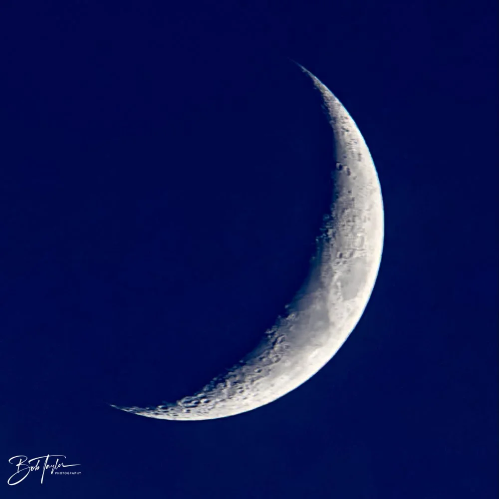 20231018-SASP 2023 -94.jpg