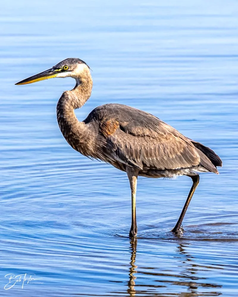 20231018-SASP 2023 -48.jpg