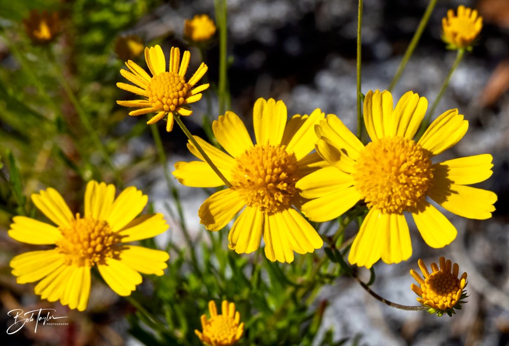 20231020-SASP 2023 -140.jpg