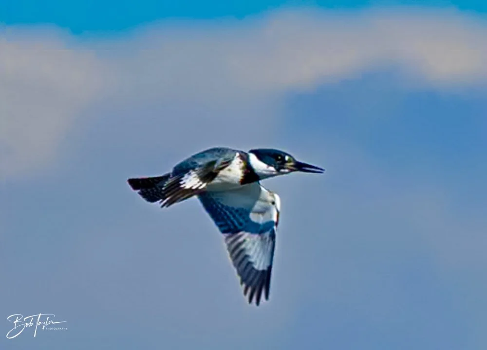 20231018-SASP 2023 -51.jpg