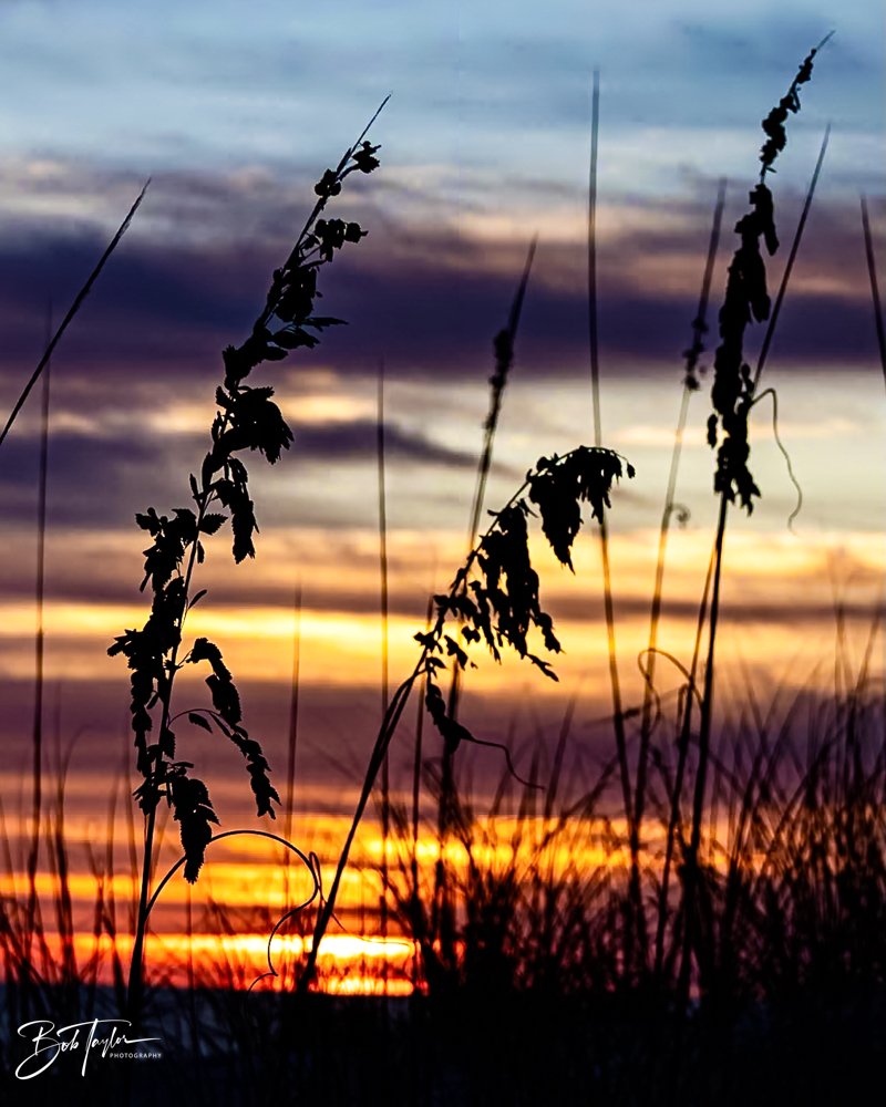 20231021-SASP 2023 -153.jpg