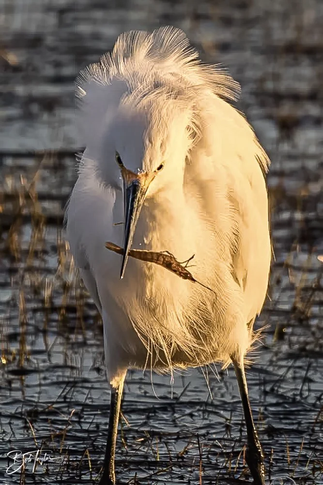 20231017-SASP 2023 -8.jpg