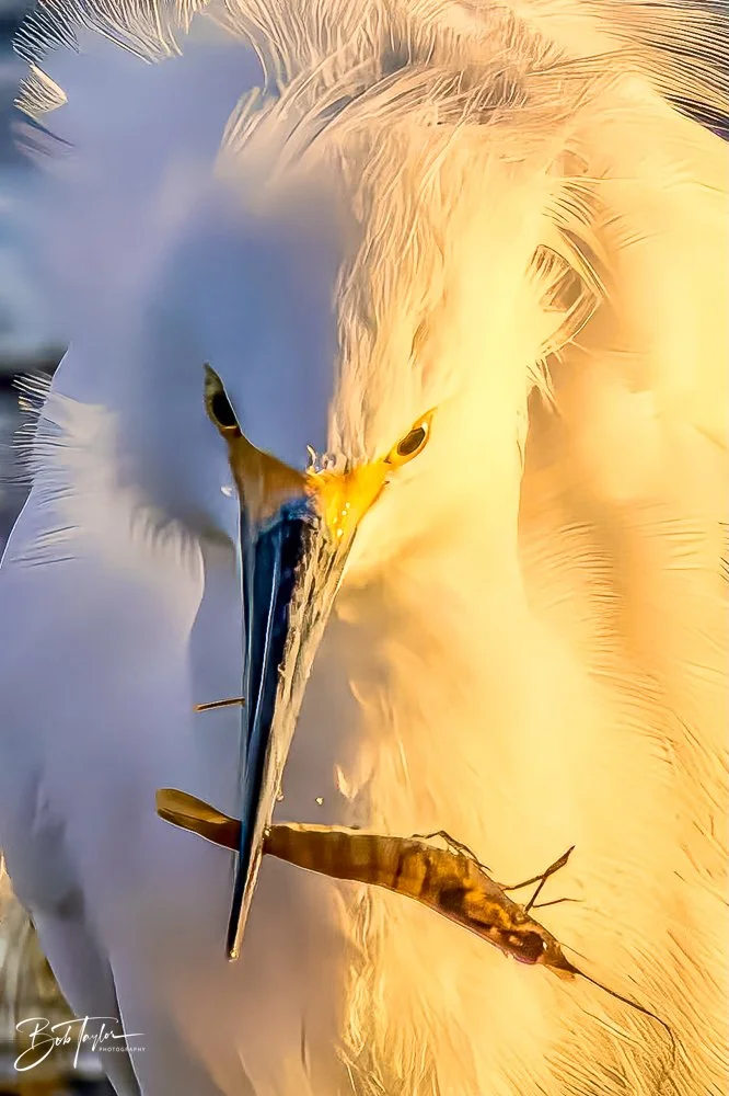 20231017-SASP 2023 -9.jpg