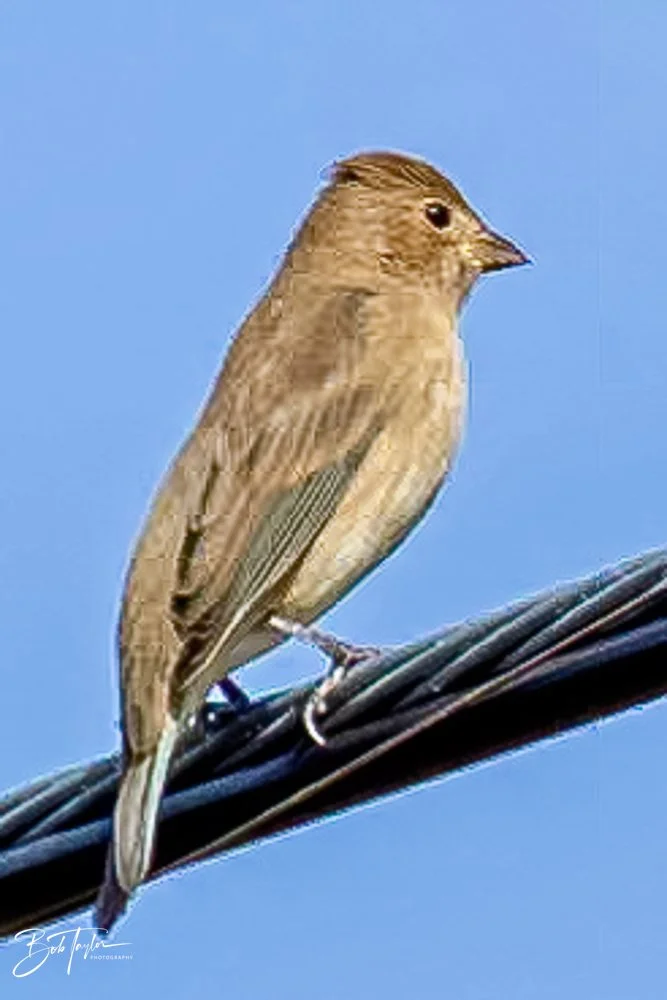 20231022-SASP 2023 -194.jpg