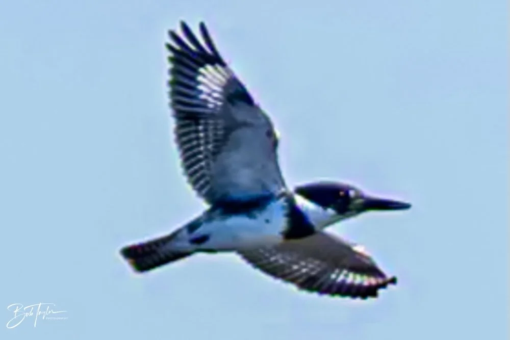 20231018-SASP 2023 -43.jpg