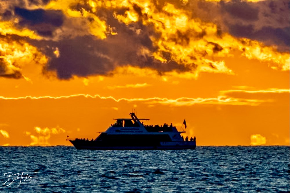 20231019-SASP 2023 -110.jpg