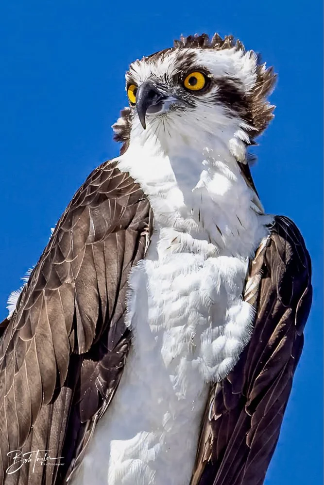 20231017-SASP 2023 -25.jpg