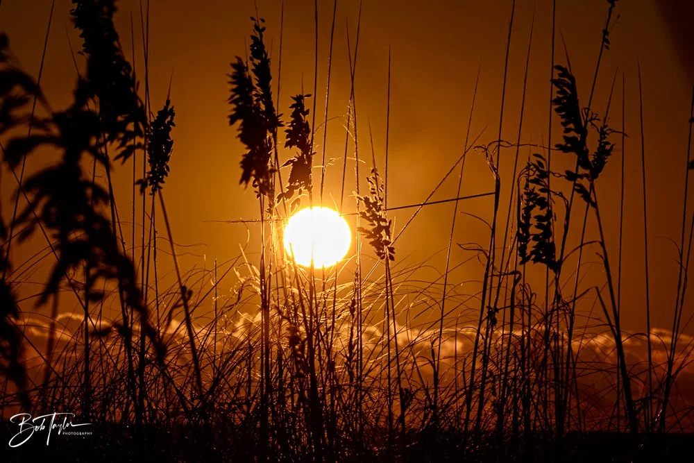 20231018-SASP 2023 -79.jpg