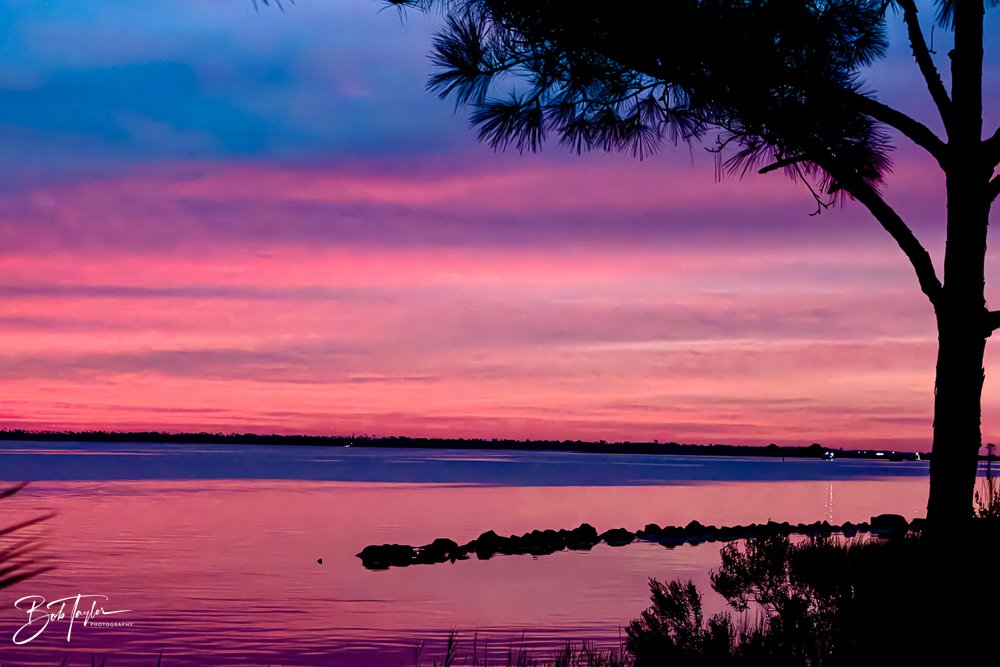 20231022-SASP 2023 -168.jpg