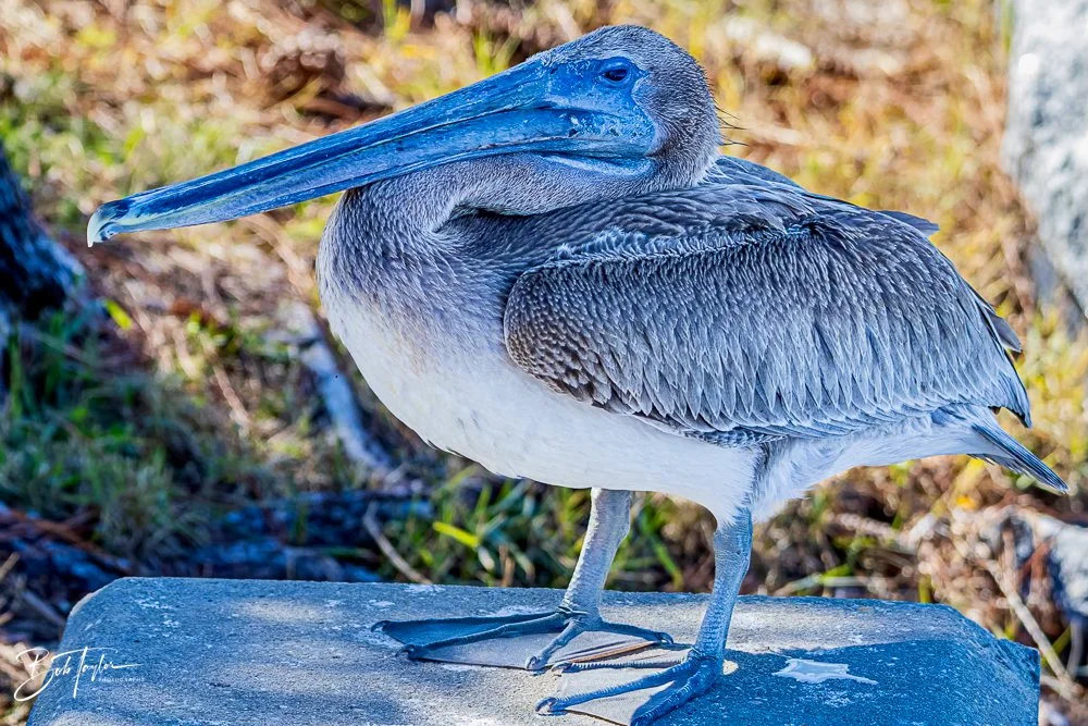 20231018-SASP 2023 -33.jpg