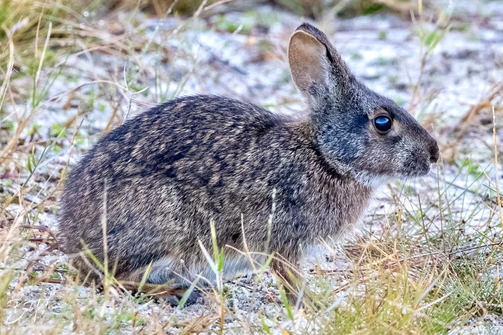 20231019-SASP 2023 -98.jpg