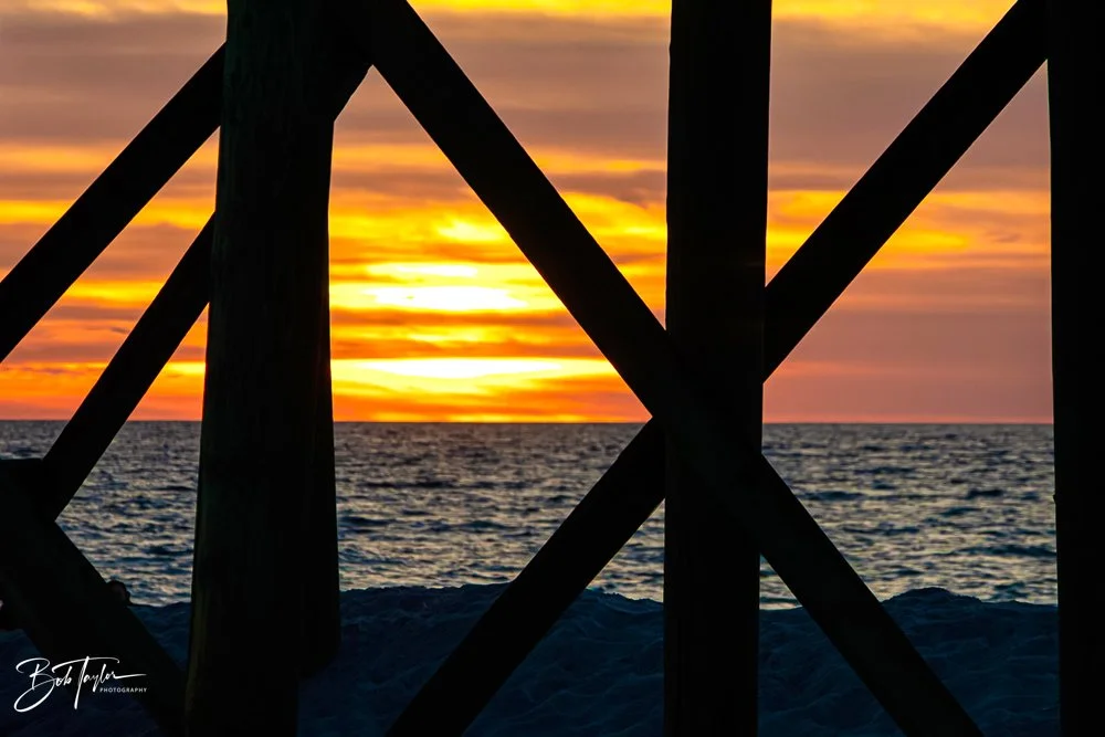 20231021-SASP 2023 -152.jpg