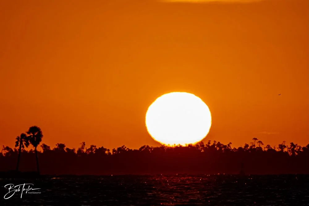 20231024-SASP 2023 -214.jpg