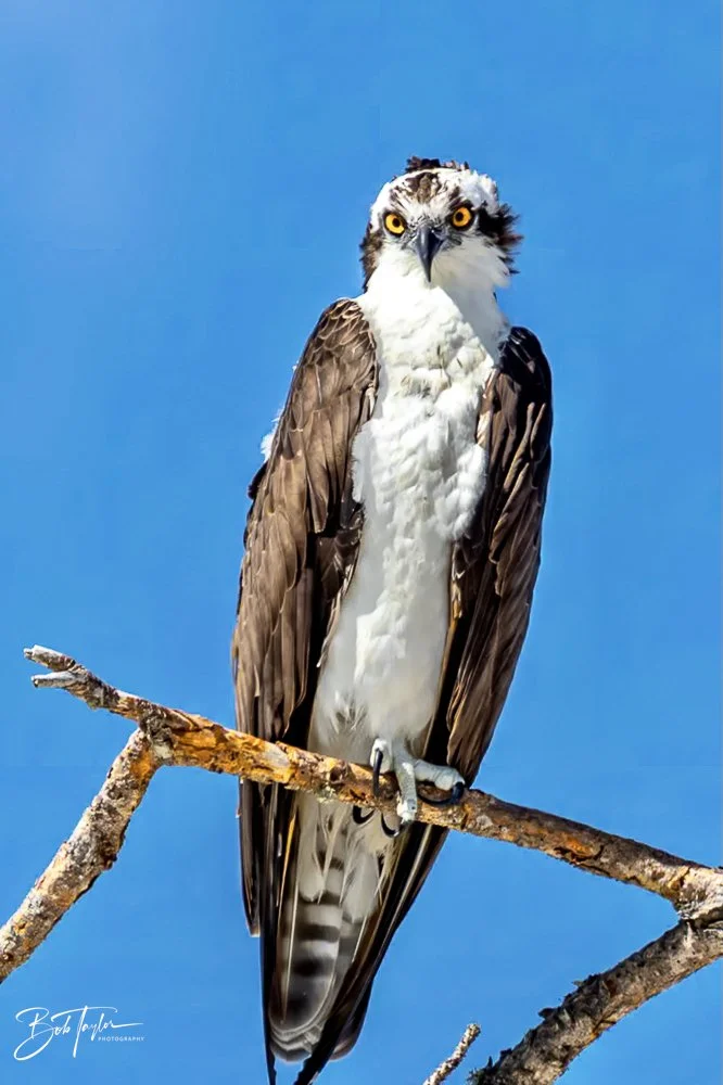 20231017-SASP 2023 -24.jpg