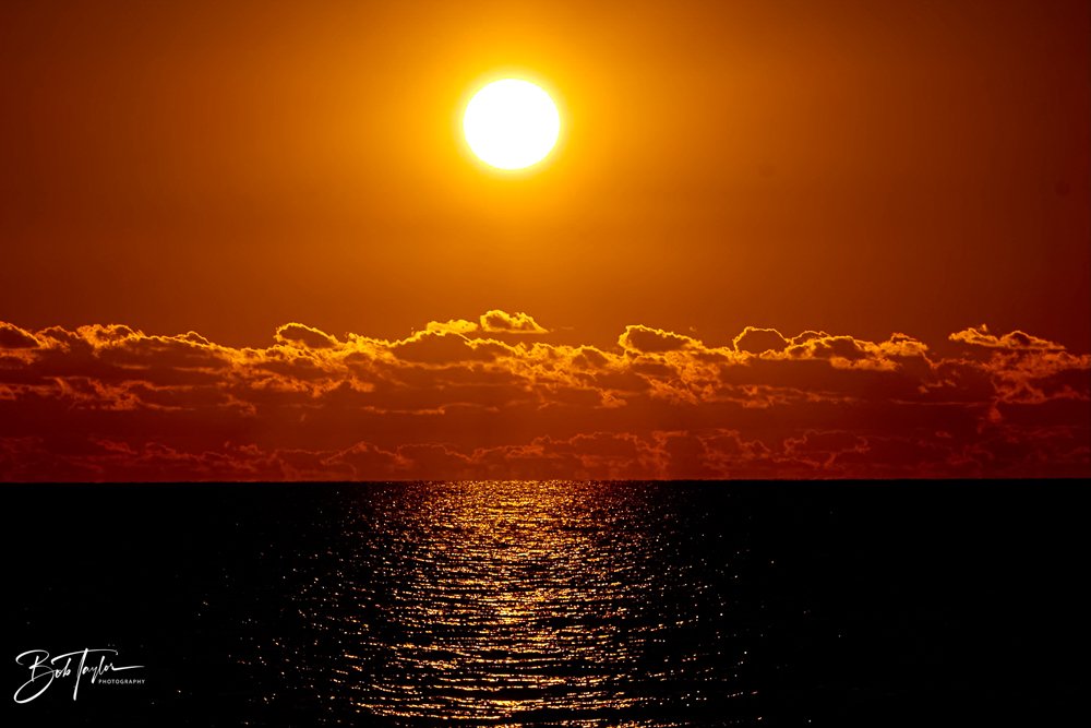 20231018-SASP 2023 -78.jpg