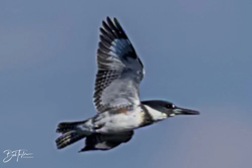 20231018-SASP 2023 -49.jpg